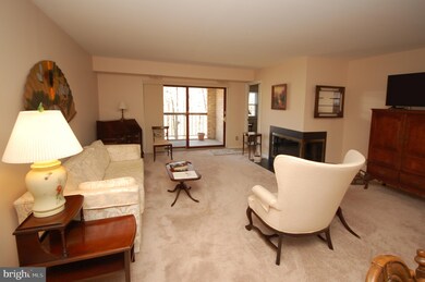 5833 Cove Landing Rd unit 302, Burke, VA 22015 - photo 5