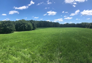 TRACT 3 E Route Y, Ashland, MO 65010 - photo 3