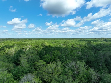 dji_fly_20250513_063540_409_174715584256