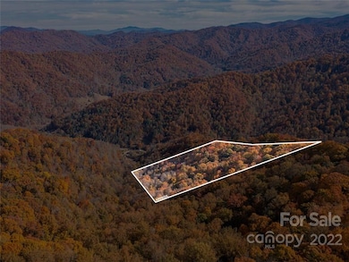 000 Drake Cove Rd, Mars Hill, NC 28754 - photo 6