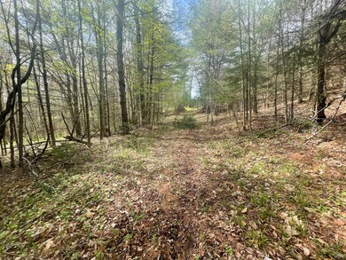 1911 Haselton Rd, Wilmington, NY 12997 - photo 5