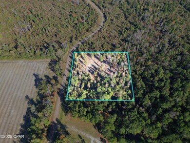 0 Parramore Rd, Sneads, FL 32460 - photo 5