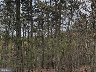 1042 Pontzer Rd, Strasburg, VA 22657 - photo 2