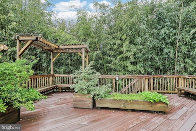 5417 Gary Place, Alexandria, VA 22311 - photo 2