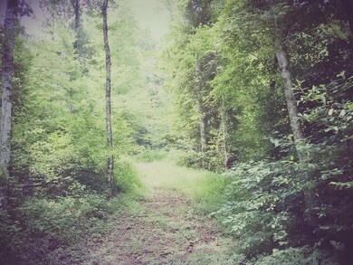 1115 Mayberry Prong Rd, Linden, TN 37096 - photo 6