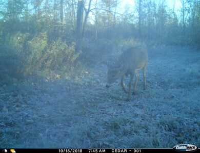 0 Beetle Creek Rd unit 22202013, Tigerton, WI 54486 - photo 2