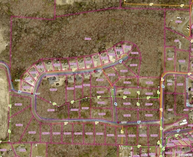 000 Palos Verdes Dr, Hot Springs, AR 71913 - photo 2