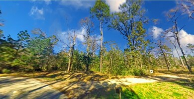 Lot 140-141 Petty Dr, Conroe, TX 77306 - photo 3