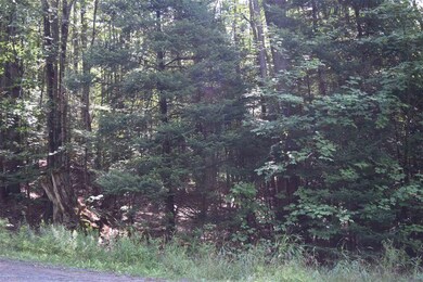 6 Ledgeway Rd, Littleton, NH 03561 - photo 7