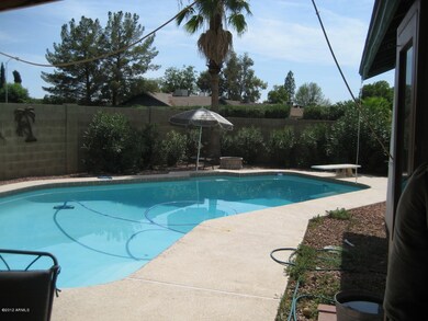 BEAUTIFUL DIVING POOL