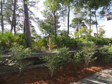 Lot H3 Hogpenny Aly, Alys Beach, FL 32461 - photo 5