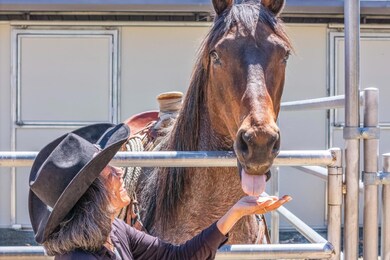 23785 Mckean Rd, San Jose, CA 95141 - photo 6