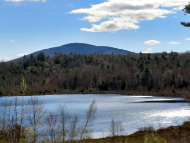 51 Heyburn Dr, Porter, ME 04068 - photo 7