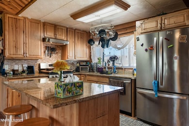 100 Nugget Ln, Dayton, NV 89403 - photo 5