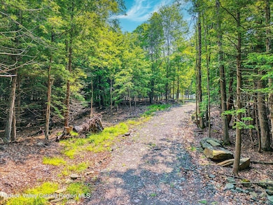 Image-2