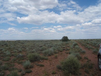 8538 Terry Trail 007