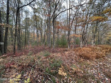 Lot 8 Whispering Oaks Rd, Lackawaxen Township, PA 18425 - photo 4