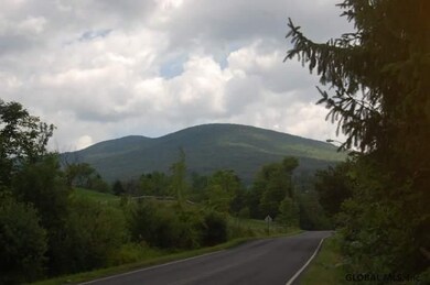 386 Route 40, Maplecrest, NY 12454 - photo 3