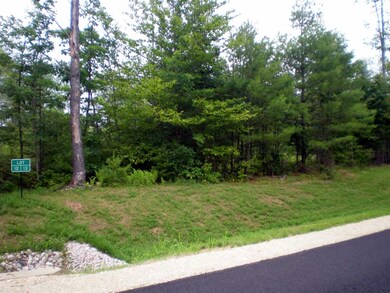 12 Farm Pond Ln, Tuftonboro, NH 03816 - photo 2