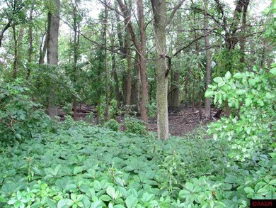 S Third St unit TBD Third St S, Butterfield, MN 56120 - photo 6