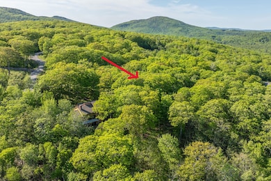 DJI_20250603165255_0057_D