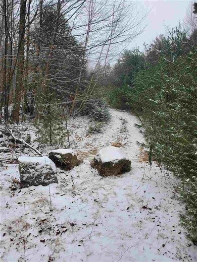 00 Hanson Rd, Brookfield, NH 03872 - photo 3