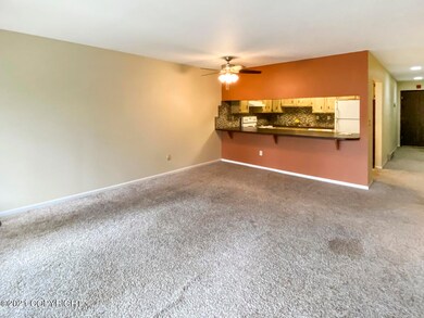 Living Room & Kitchen