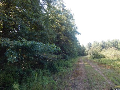 0 E Hayes Rd, Ashley, MI 48806 - photo 4