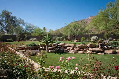 Backyard Landscaping