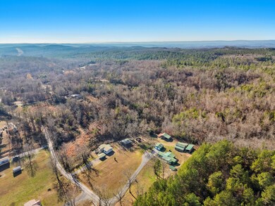 unlisted-address, Decatur, TN 37322 - photo 7