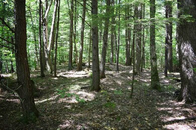 44 Black Bear Rd unit Lot 21 on the recor, Woodstock, NH 03262 - photo 4