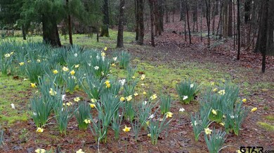 14962 Canopy Oaks Dr, Tyler, TX 75707 - photo 6