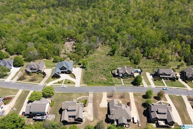 1776 Southpointe Dr unit 35, Hoover, AL 35244 - photo 2