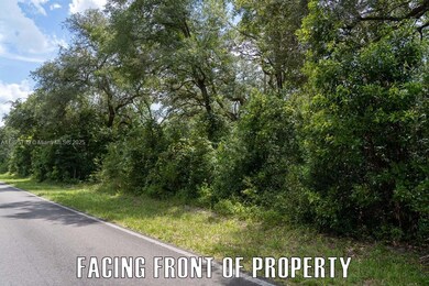 0 Old Fannin Rd, Trenton, FL 32693 - photo 5