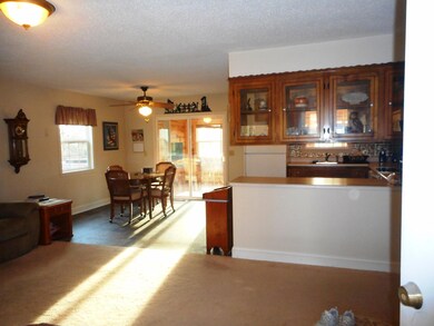 4109 Casey Rd Forsyth MO 65653 (12)