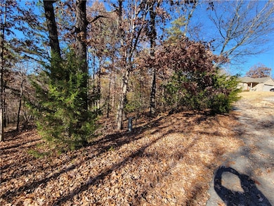 0 Hadnet Ln, Bella Vista, AR 72714 - photo 4