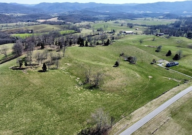 TBD Monroe Rd, Meadowview, VA 24361 - photo 2