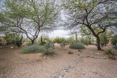back yard-2