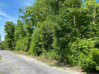 23 Lee St, Crawfordville, FL 32327 - photo 5