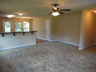 18025 Bass Lake Trail, Ponchatoula, LA 70454 - photo 4