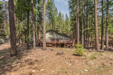 121 Mountain Aire Ln, Trinity Center, CA 96091 - photo 5