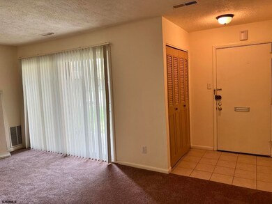 804 Sugar Bush Ct unit 8D, Mays Landing, NJ 08330 - photo 4