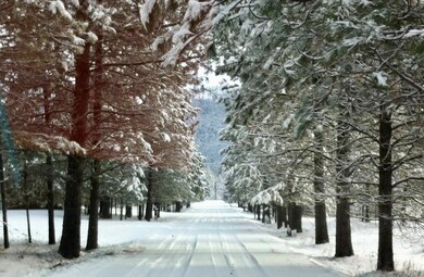 217 Snowy View Drive