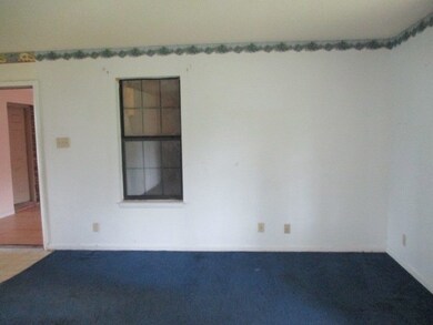 303 Dogwood Ave, Donalsonville, GA 39845 - photo 5