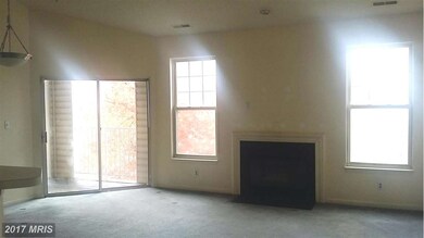 7113 Sandown Cir unit 302, Windsor Mill, MD 21244 - photo 6