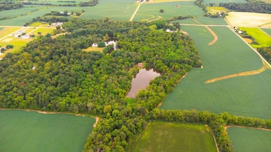 6081 Panhandle Rd, Hillsboro, OH 45133 - photo 7