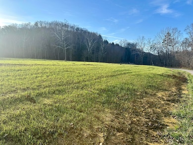 Lot 8 Hensley Rd, East Bernstadt, KY 40729 - photo 5