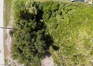 6015 Olive Ave N, Lehigh Acres, FL 33971 - photo 6