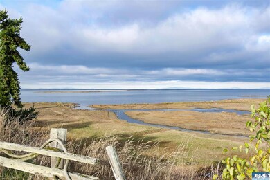 Dungeness River Estuary