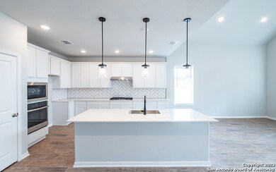25035 Las Pilas, San Antonio, TX 78261 - photo 3